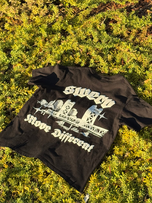Sacremento Move Different T-Shirt
